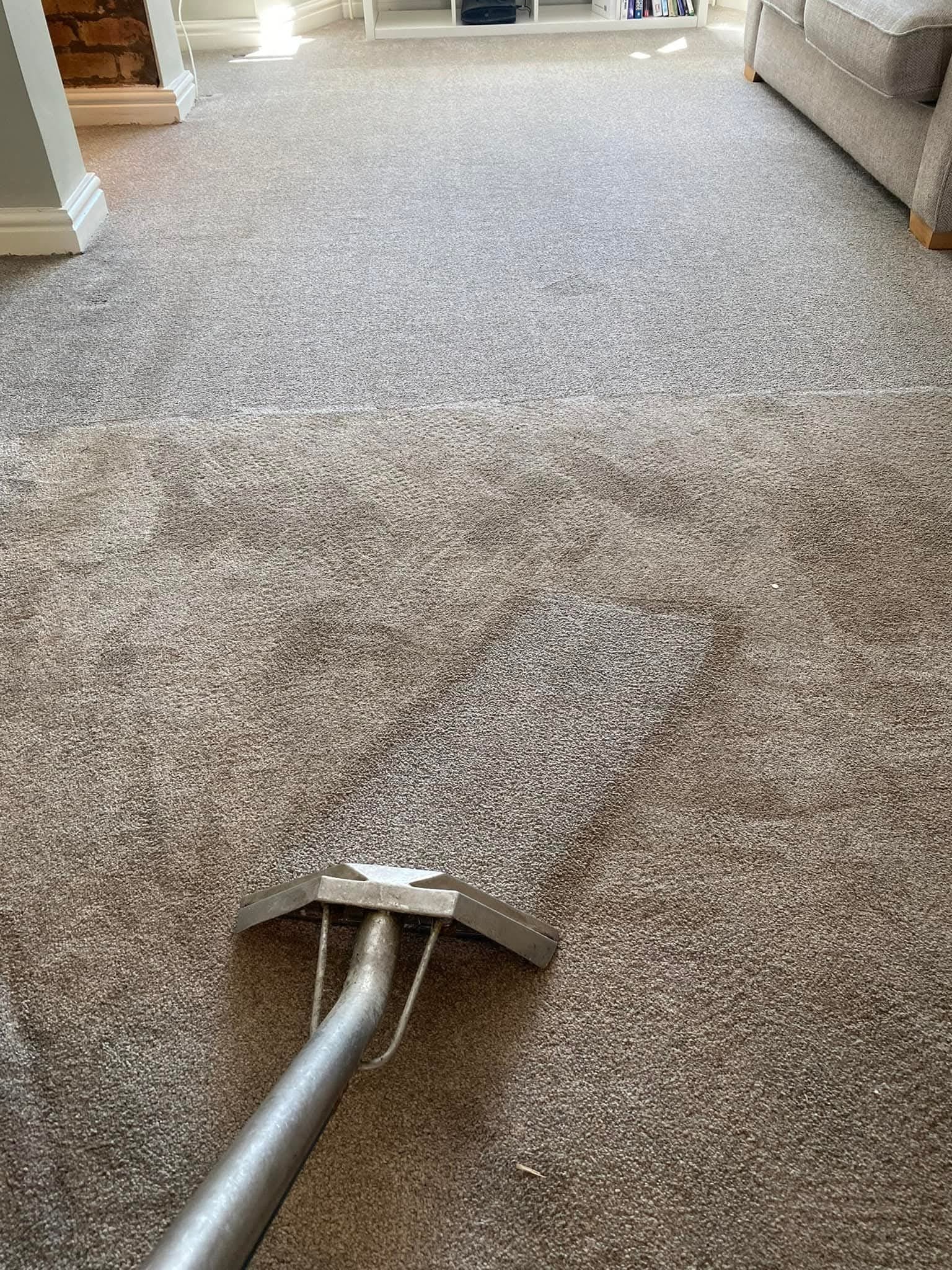 Deep carpet cleaning service
