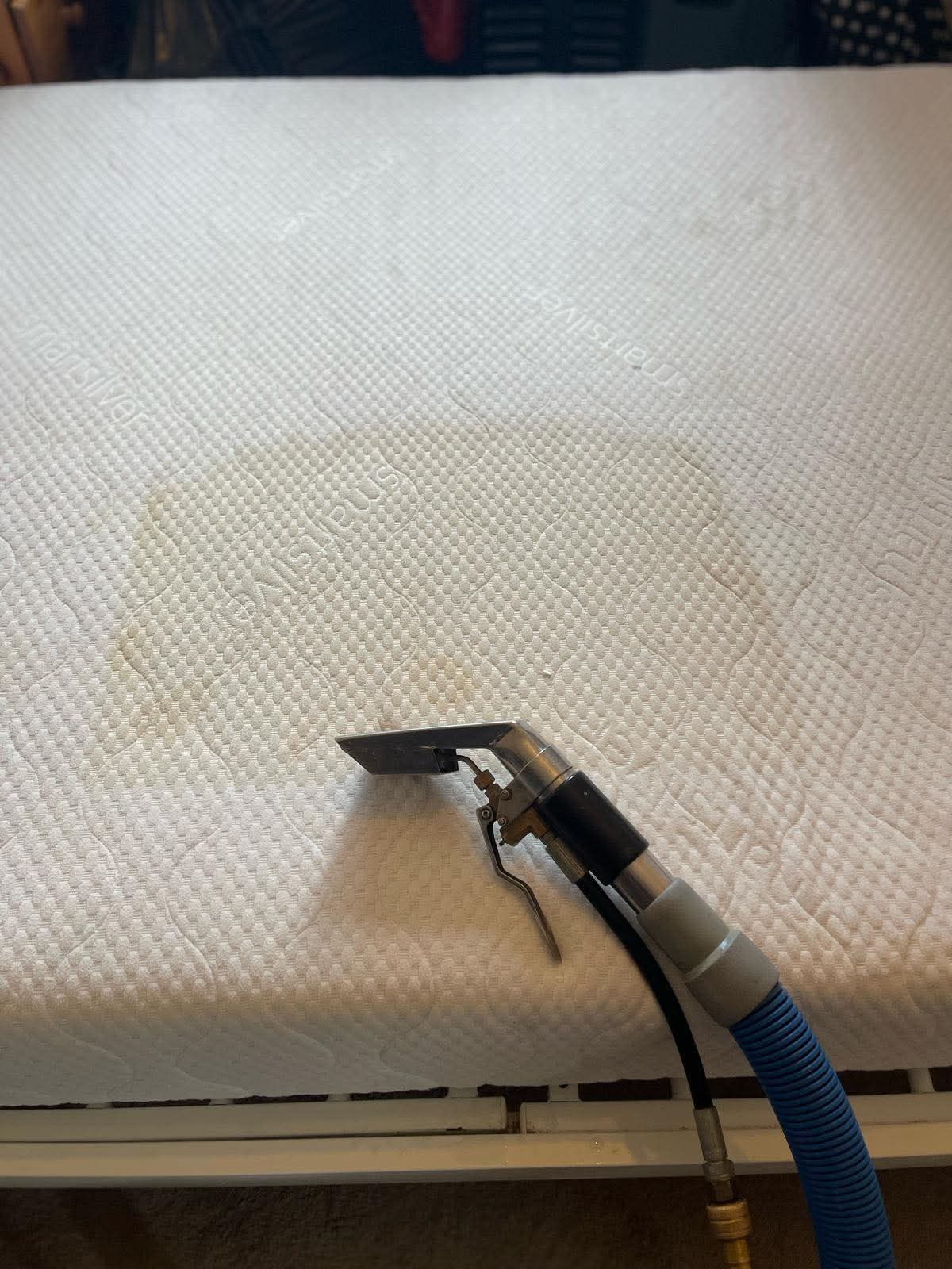 Rug and spot cleaning